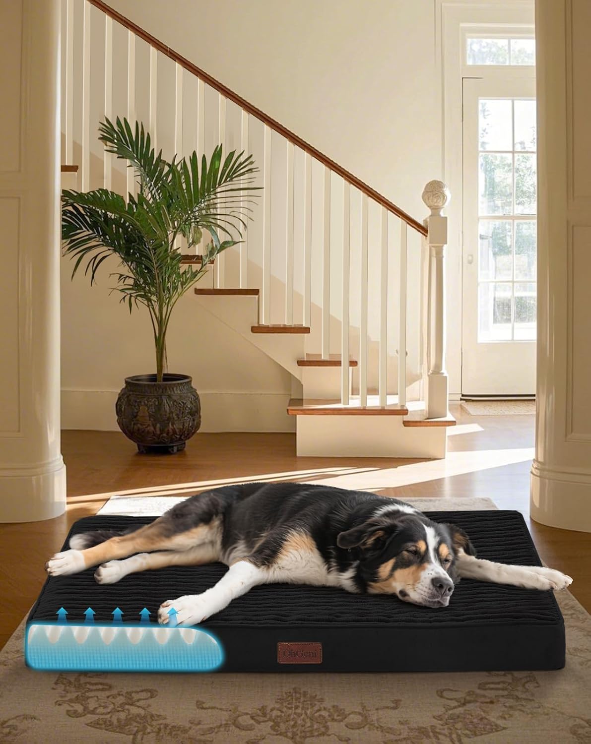 OhGeni Orthopedic Waterproof Dog Bed for Medium Large Pets