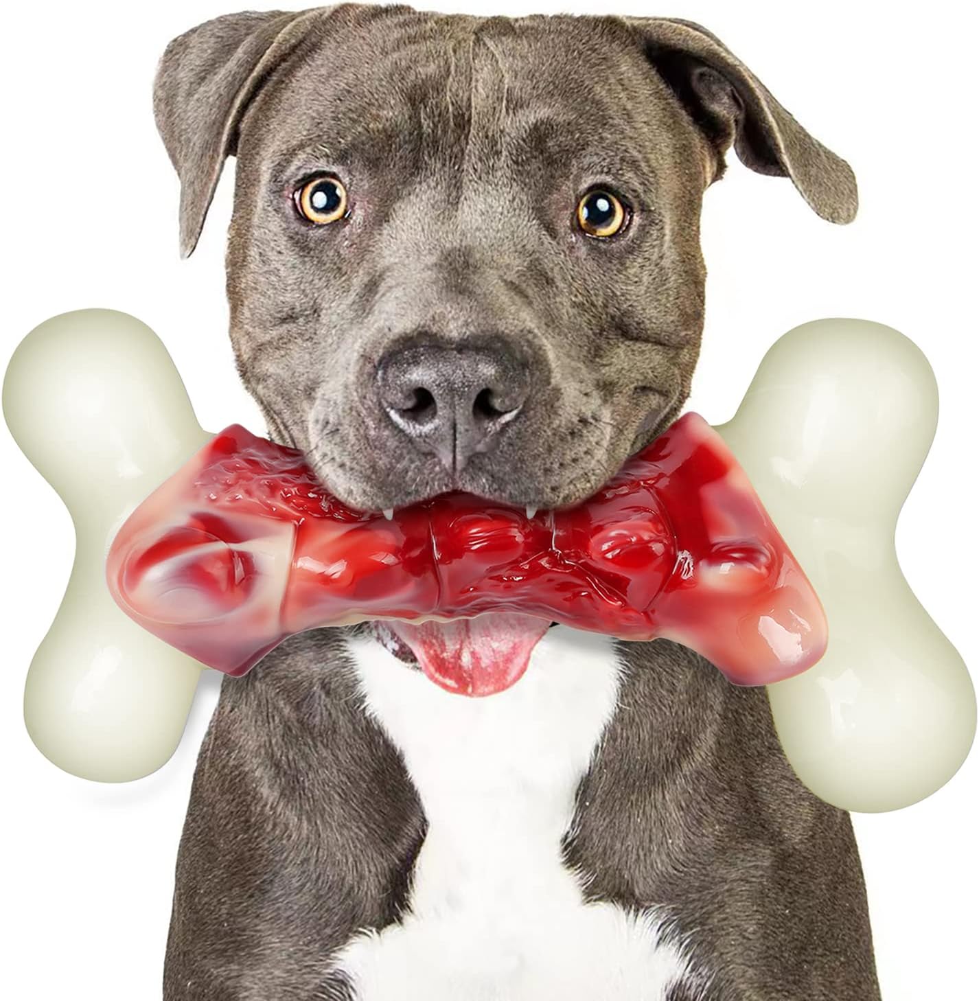 Indestructible Bacon Dog Toy - DEBAK Power 35