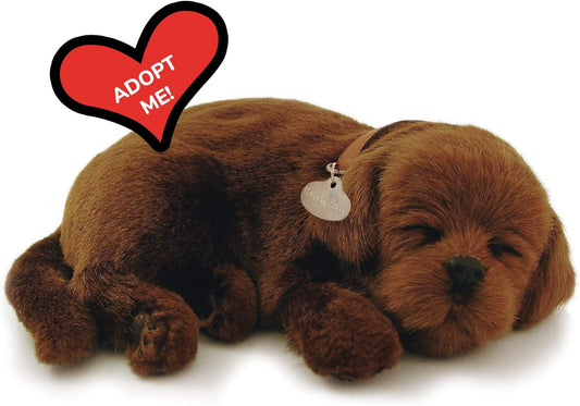 Original Petzzz Chocolate Lab: Realistic Interactive Plush Toy