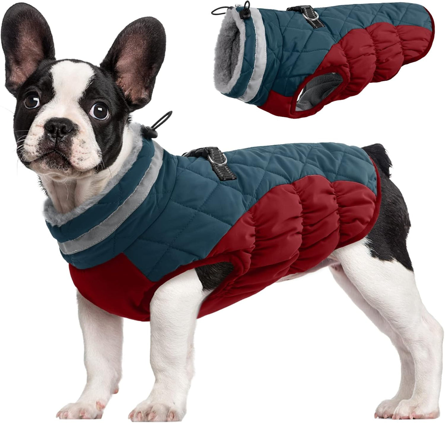 FUAMEY Dog Coat for Small Dogs - Waterproof Winter Jacket