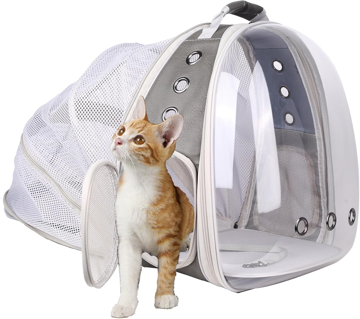 Expandable Carrier Backpack for Kittens and Small Pets