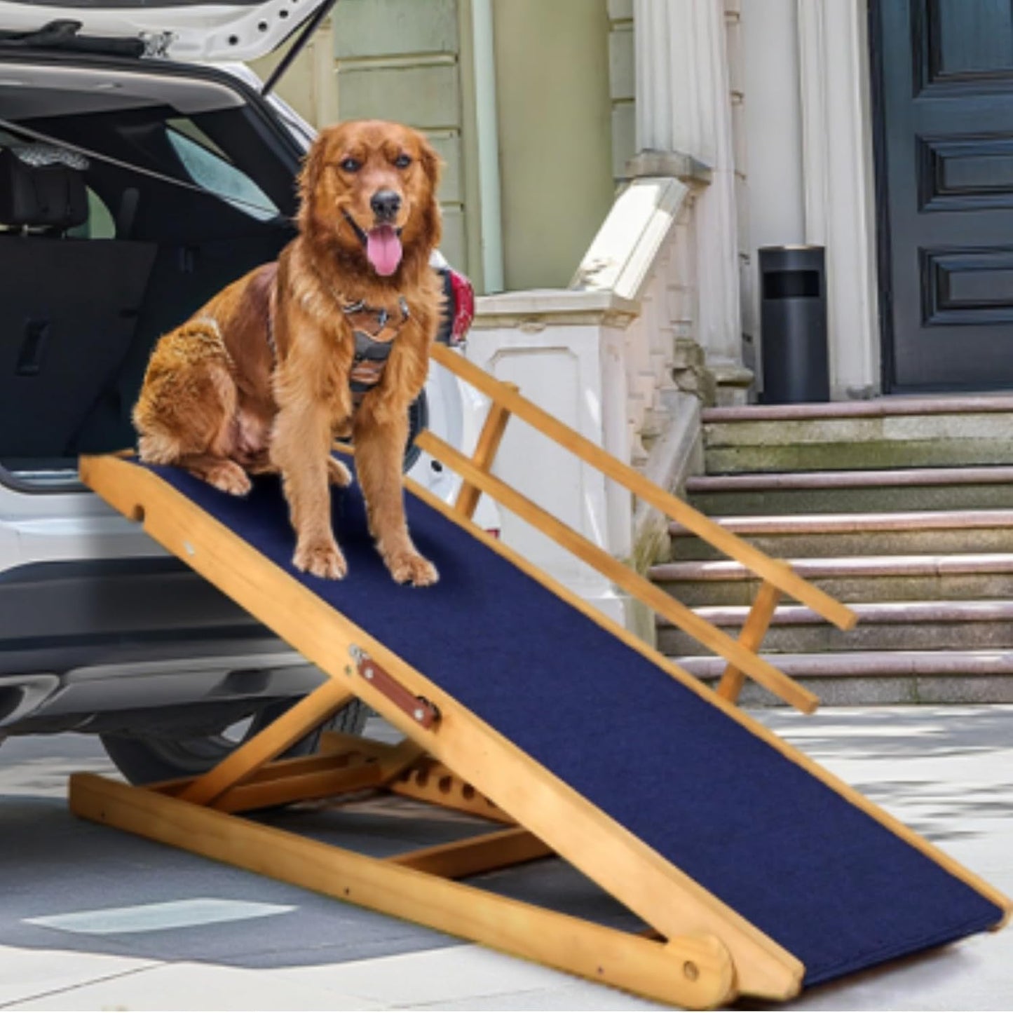 Dog Ramp for Beds and Cars with Adjustable Heights and Safety