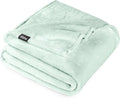 Twin/Twin XL Microplush Fleece Blanket - Spring Mint Twin Size