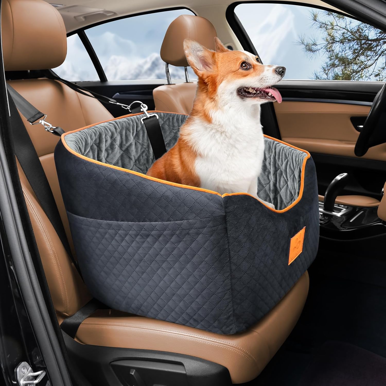 Dog Car Seat for Small Dogs with Memory Foam Booster Design