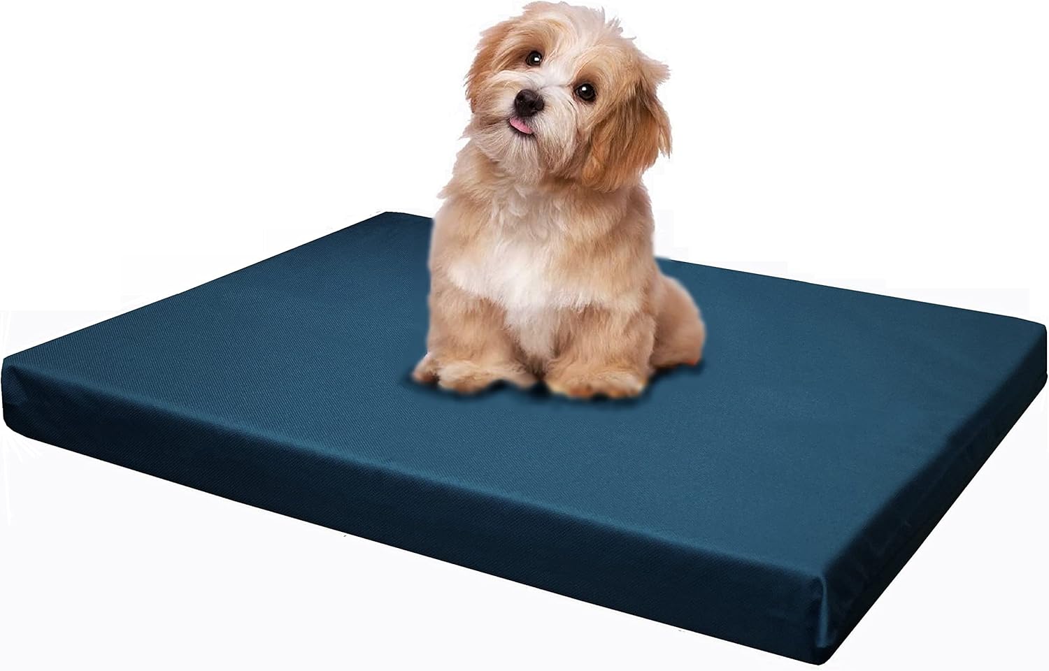 Dogbed4less Memory Foam Platform Dog Bed for Joint Relief