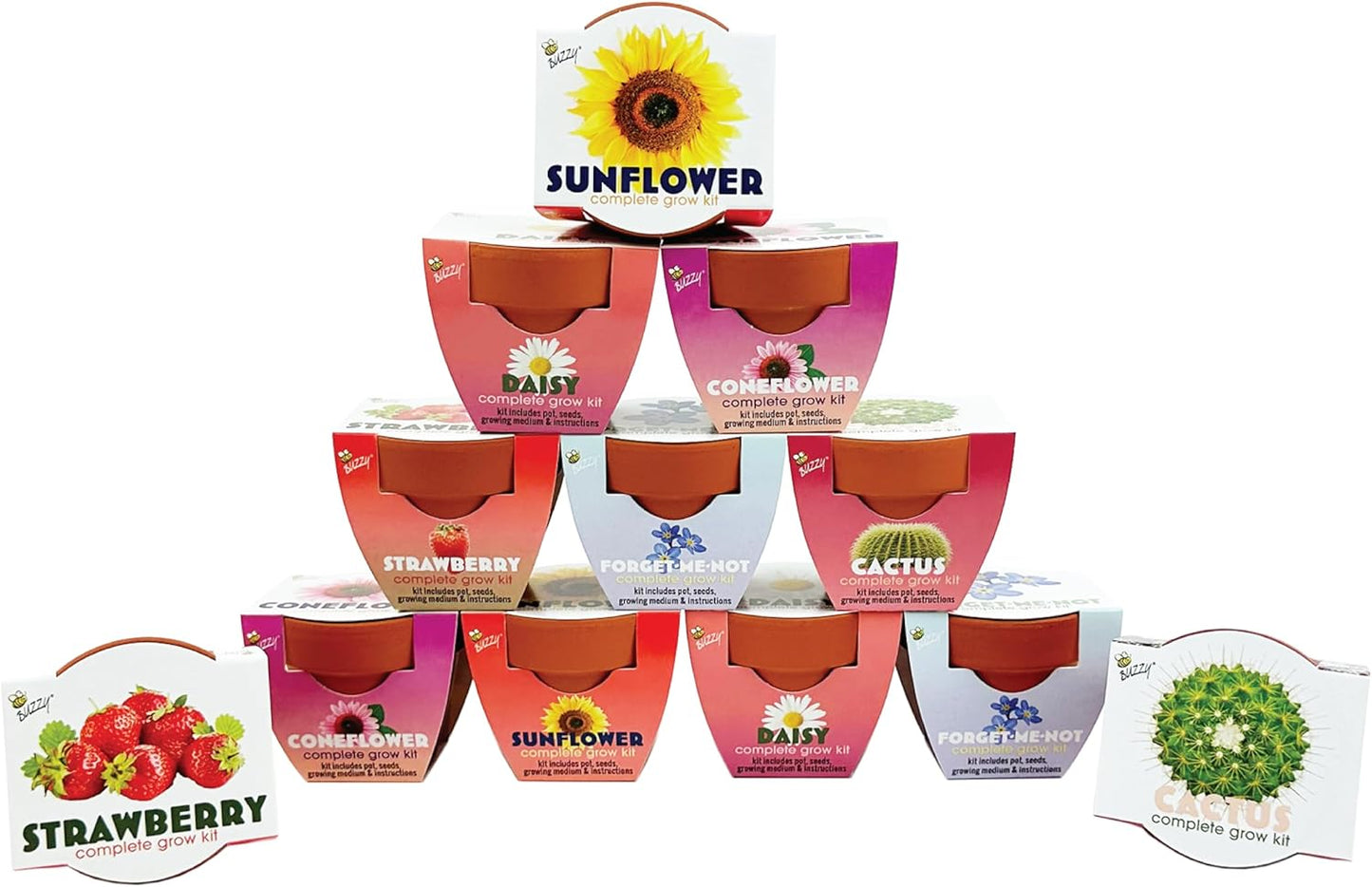 Terracotta Mini Grow Pots Starter Kit for Kids & Adults