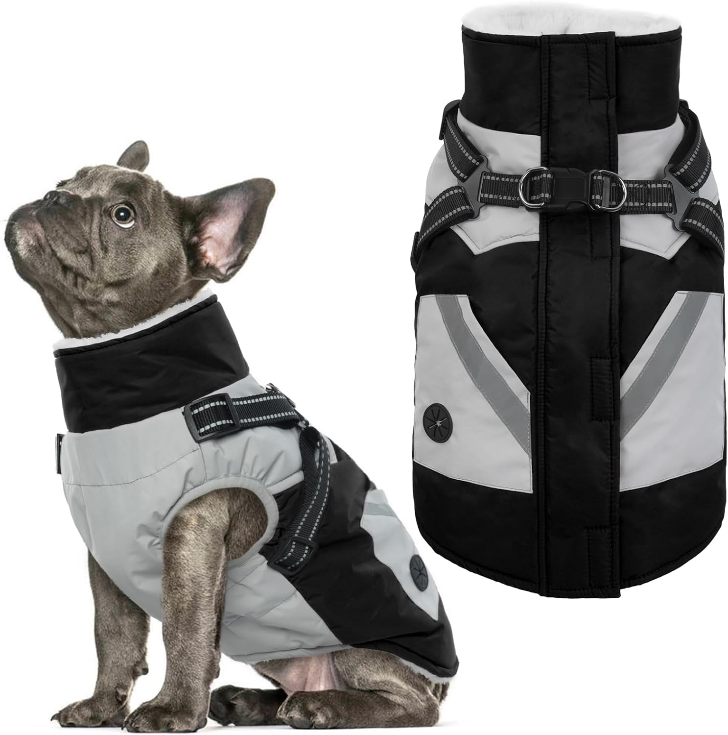 IECOii Dog Winter Coat Waterproof for Medium Dogs - Warm & Safe