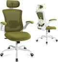 Review COLAMY Ergonomic Mesh Office Chair - Ultimate Comfort