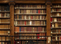Fabric Vintage Bookshelf Backdrop 10x8ft - Lifelike Library Scene
