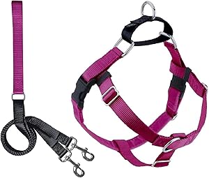 Freedom No Pull Dog Harness for Comfortable Control and Easy Walking