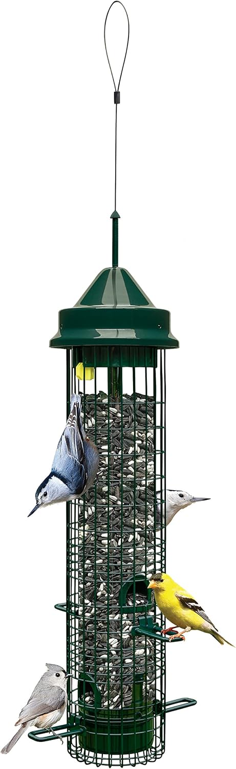 Squirrel Buster Classic Squirrel-proof Bird Feeder for All Birds
