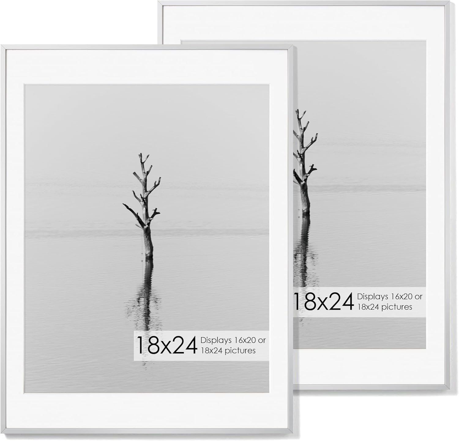 18x24 Aluminum Poster Frame Set of 2 for Stunning Displays
