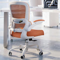 TRALT Office Chair - Ergonomic Mesh Desk Chair with Adjustable Lumbar
