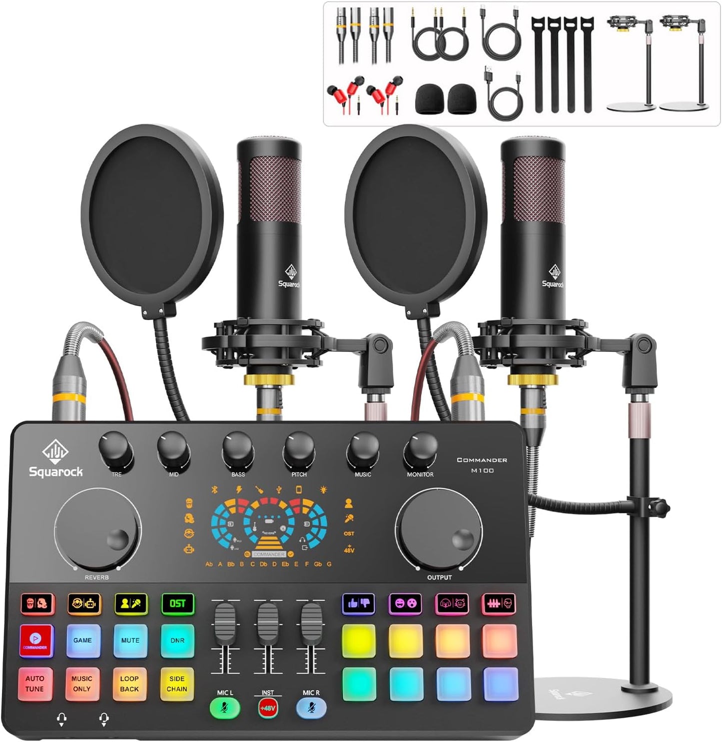 Podcast Equipment Bundle for 2 with Dual 48V XLR Microphones