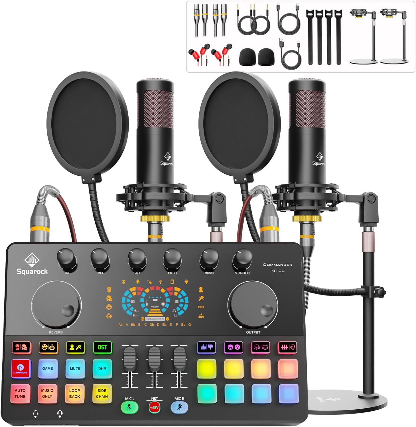 Podcast Equipment Bundle for 2 with Dual 48V XLR Microphones