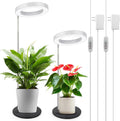 Grow Light Pack of 2 Full Spectrum Desk Lamp - Timer & Adjustable