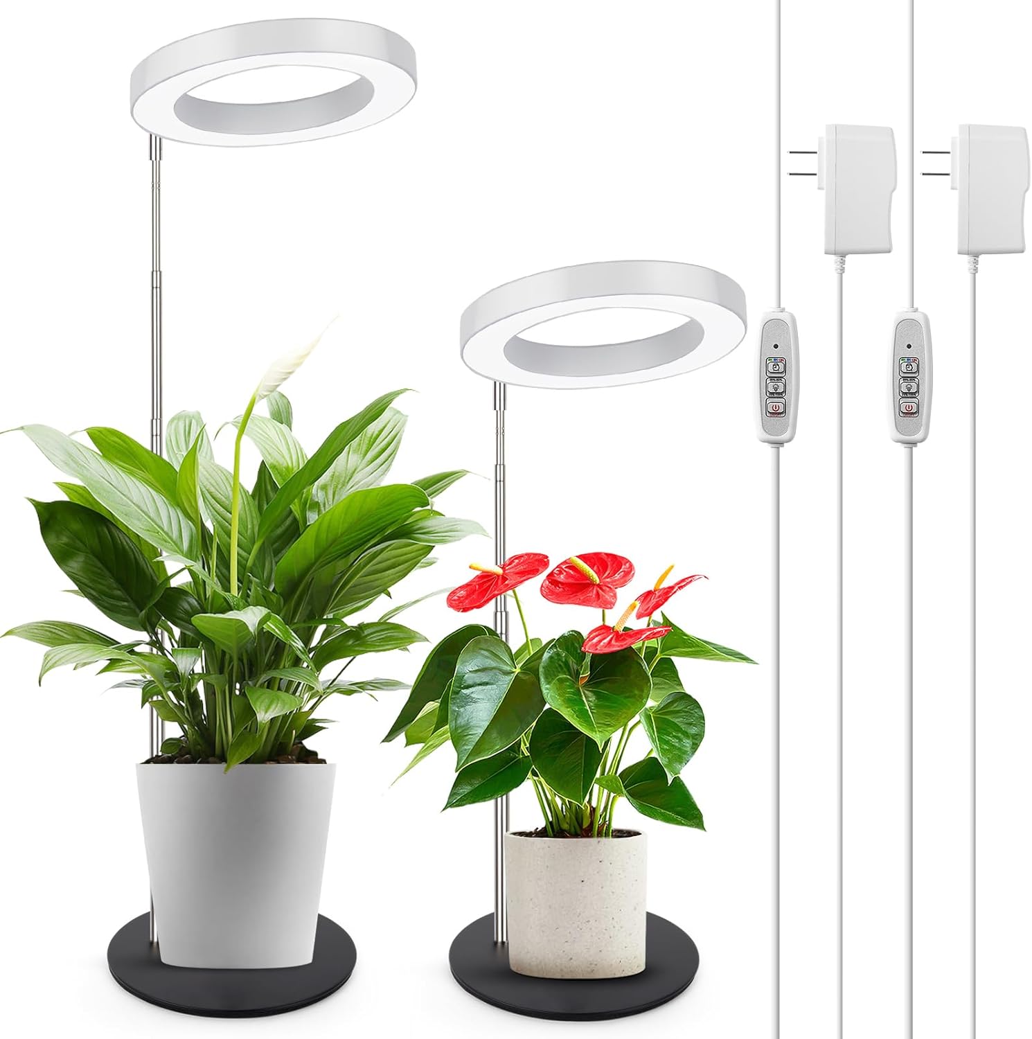 LORDEM Grow Light for Indoor Plants with Automatic Timer