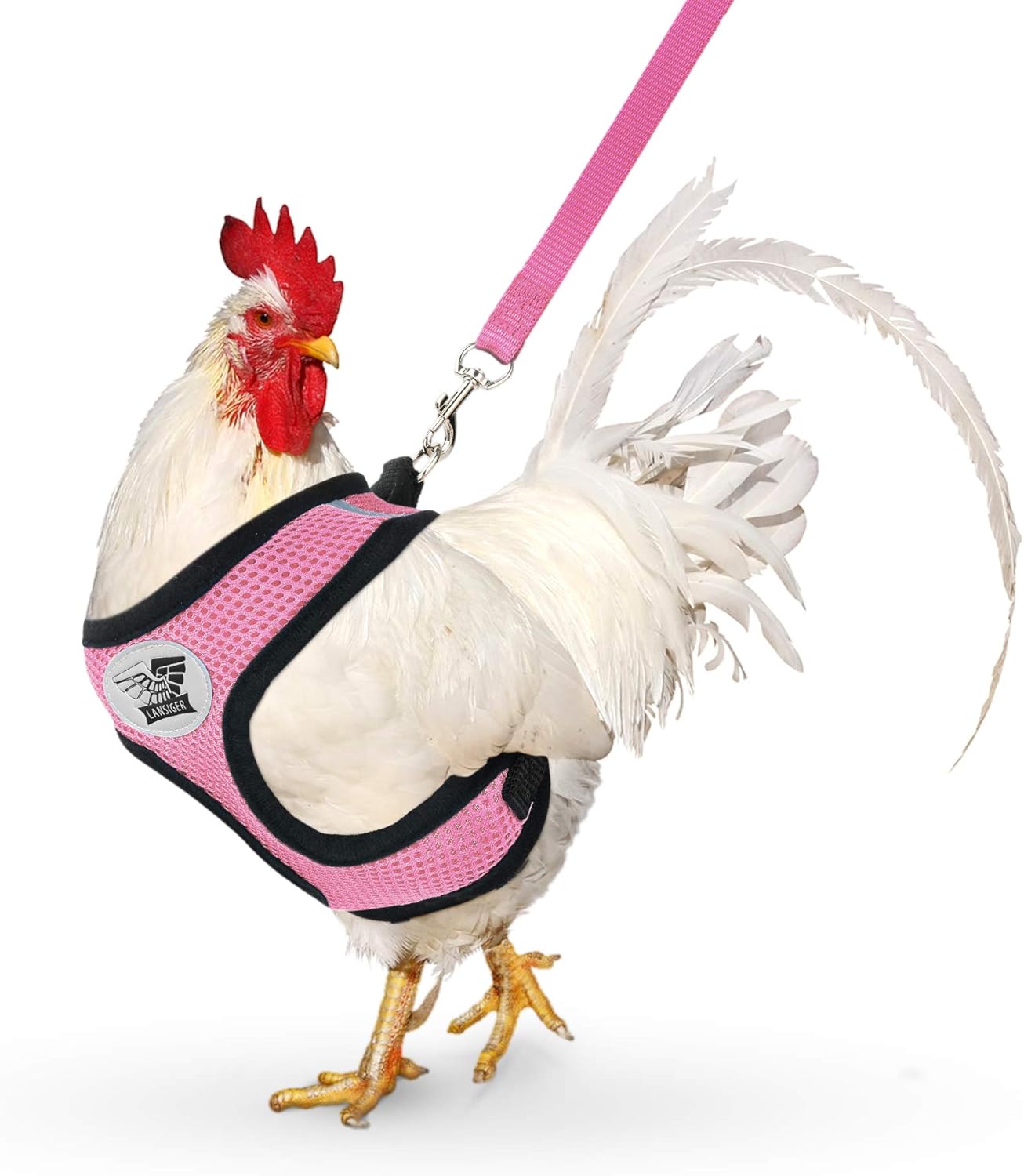Versatile Small Pet Harness for Easy Training - Lansiger