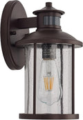Motion Sensor Exterior Wall Light 11.5 in - Dusk to Dawn Porch Light