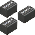 Kastar 3-Pack Battery Replacement for Panasonic Camera - Long Runtime