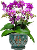 Orchid Pot with Holes and Saucer - Glazed Ceramic 6.5 in