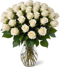 25 White Roses with Vase - Fresh 25-Stem White Rose Bouquet