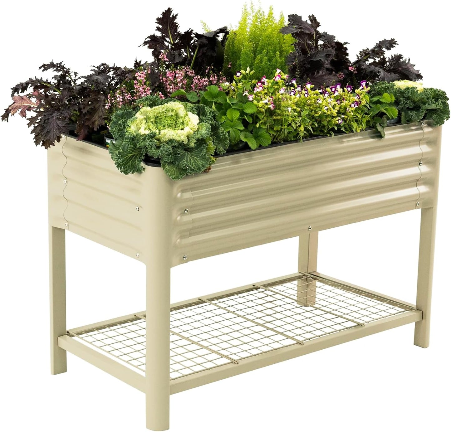 Elevated Raised Garden Bed for Herbs and Vegetables, 2ft x 4ft