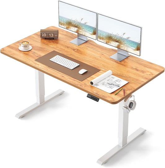 BANTI 55 24 Inches Electric Height Adjustable Standing Desk