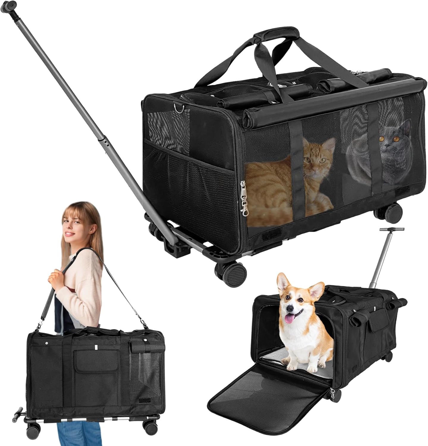 Double Cat Carrier with Wheels for Two Cats or One Dog