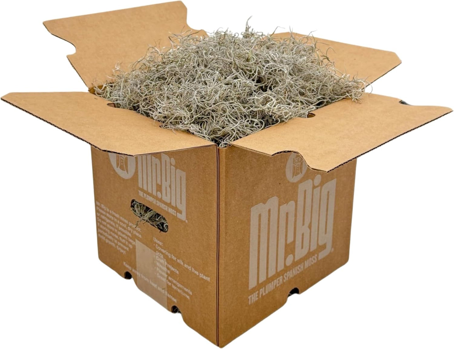 Mr. Big Fresh Spanish Moss for Crafts and Home Decor Projects