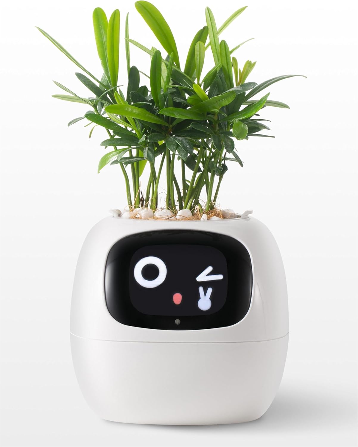 Plantagotchi AI Plant Pot - Smart Planter Robot with Guidance