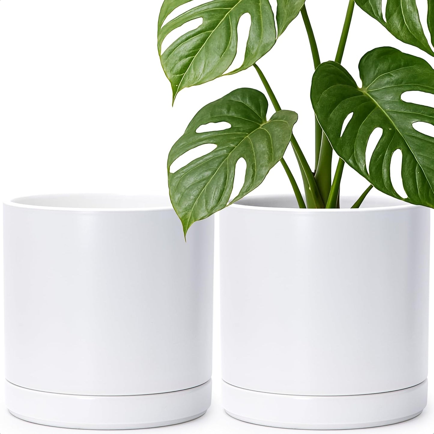 D'vine Dev Set of 2 Ceramic Planter Pots with Drainage Holes