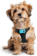 Bark Control Training Vest for Small Dogs - Gentle No-Bark Solution