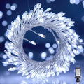 Firecracker Fairy Lights Plug in 50ft 1000 LED Cluster Lights - Pure