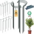 16 Pack 24 in Plant Support Stakes - Adjustable Heavy Duty Cages