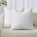 MIULEE 22x22 Pillow Inserts Pack of 2 - Soft Support for Couch