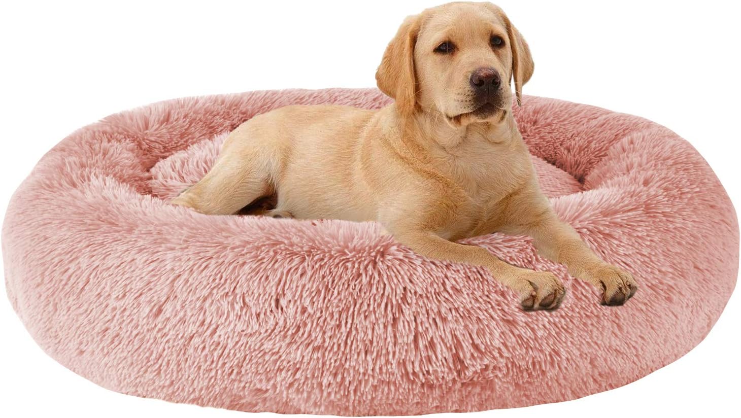 MFOX Calming Dog Bed for Medium and Large Dogs - Cozy Comfort