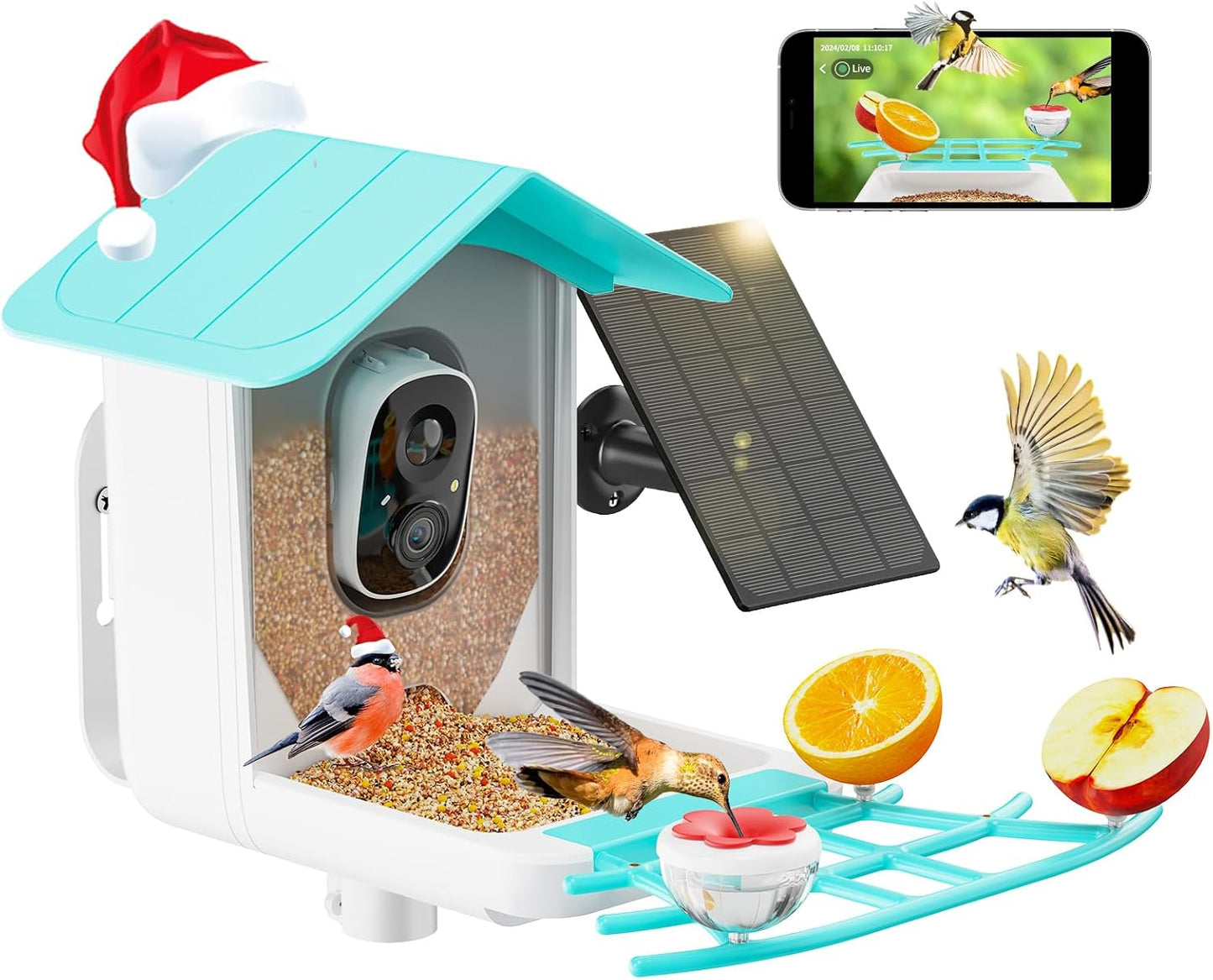 AI Bird Feeder Cam: Auto Capture Videos, Real-time Views