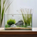 5 Gallon Glass Fish Tank - Easy to Maintain Small Aquarium
