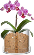 Clear Plant Nursery Pots with Drainage Holes for Indoor Plants