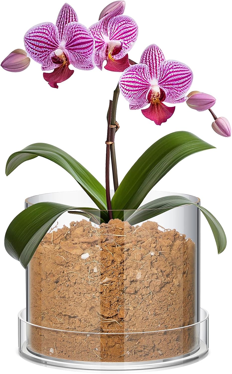 Clear Plant Nursery Pots with Drainage Holes for Indoor Plants
