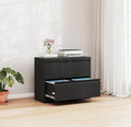2-Drawer Lateral File Cabinet with Lock - Secure Metal Filing