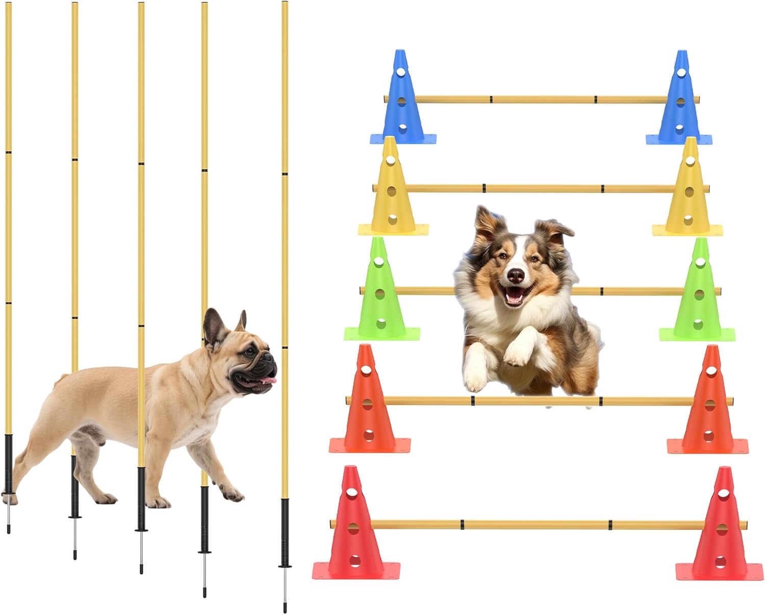 Dog Agility Training Hurdle Cone Set for Pet Exercise Fun