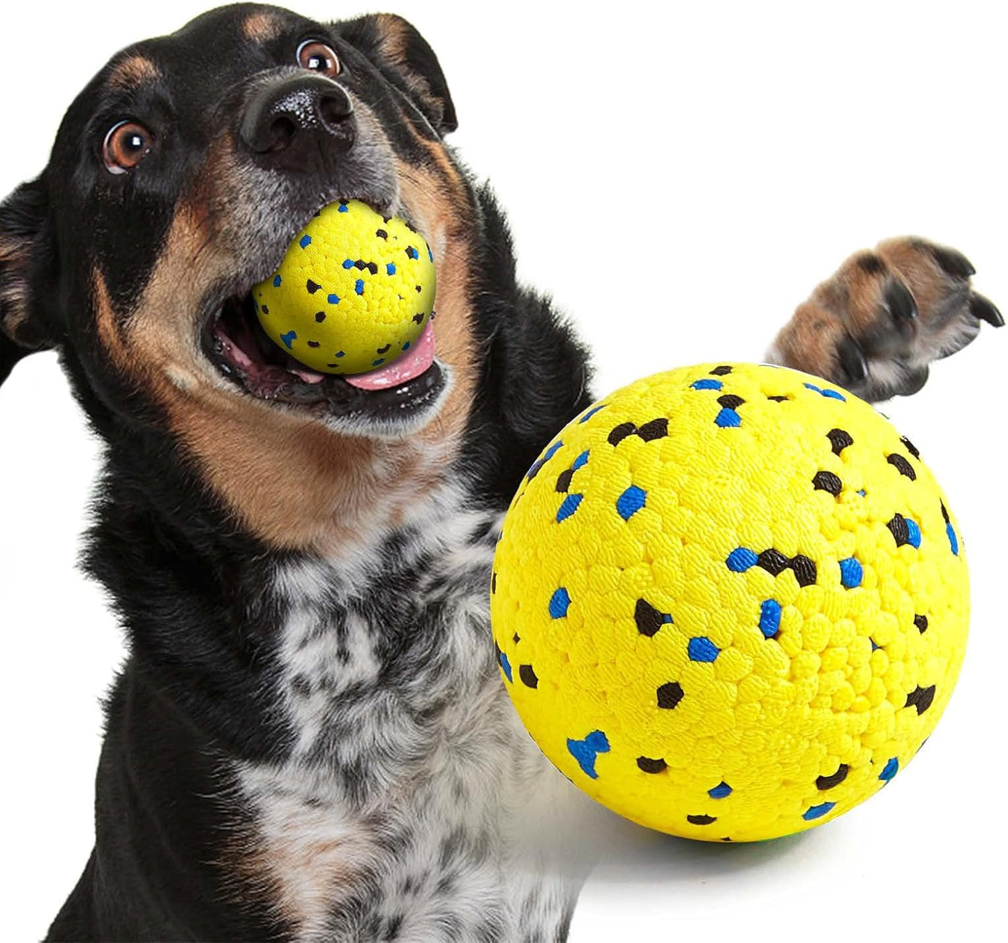 Durable Dog Fetch Ball for Aggressive Chewers ~ Floats in Water