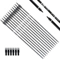30in Carbon Practice Hunting Arrows Pack of 12 - Removable Tips