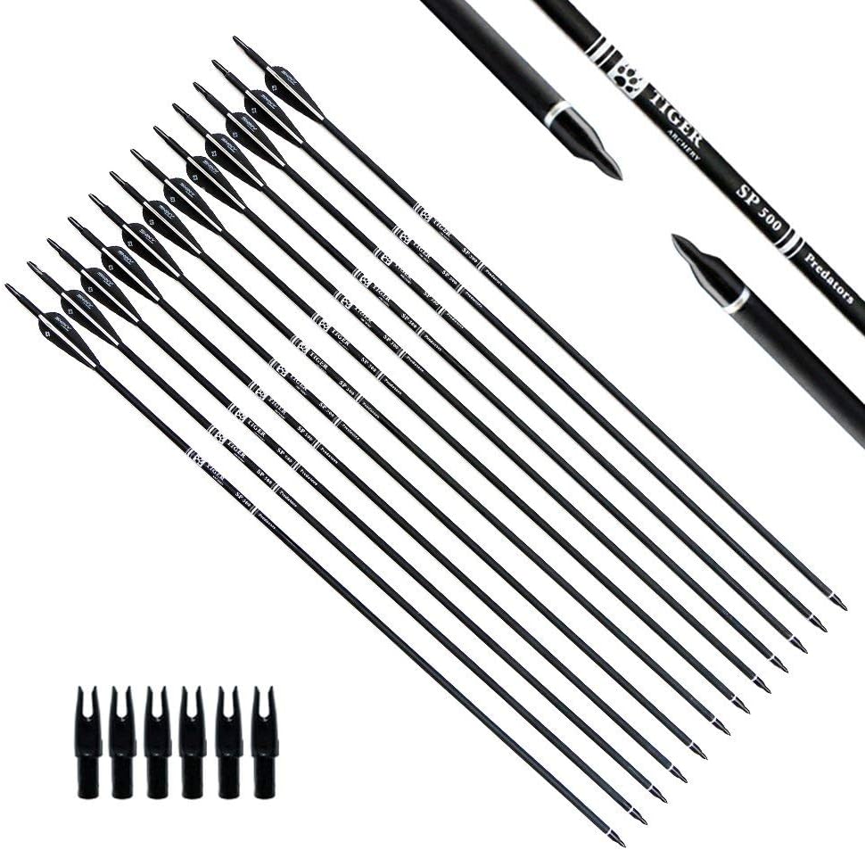 30Inch Carbon Arrow Practice Hunting Arrows for Bows - Pack of 12