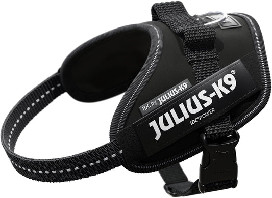 Julius-K9 IDC Powerharness Mini-Mini Dog Harness for Safety