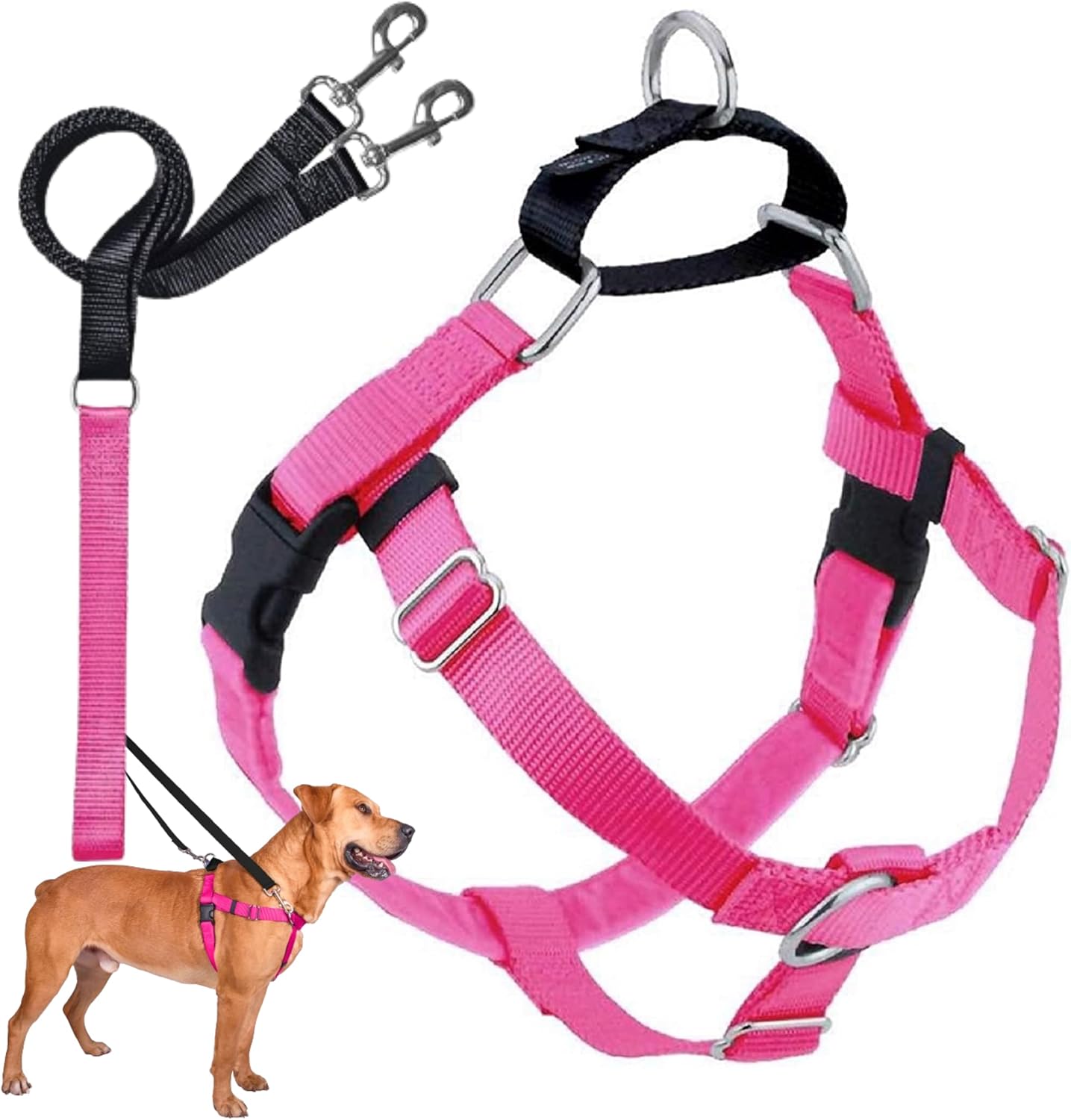 Freedom No Pull Dog Harness for Easy Walking & Control