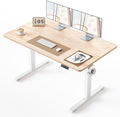 BANTI 55 28 in Standing Desk - Electric Height Adjustable Sit-Stand