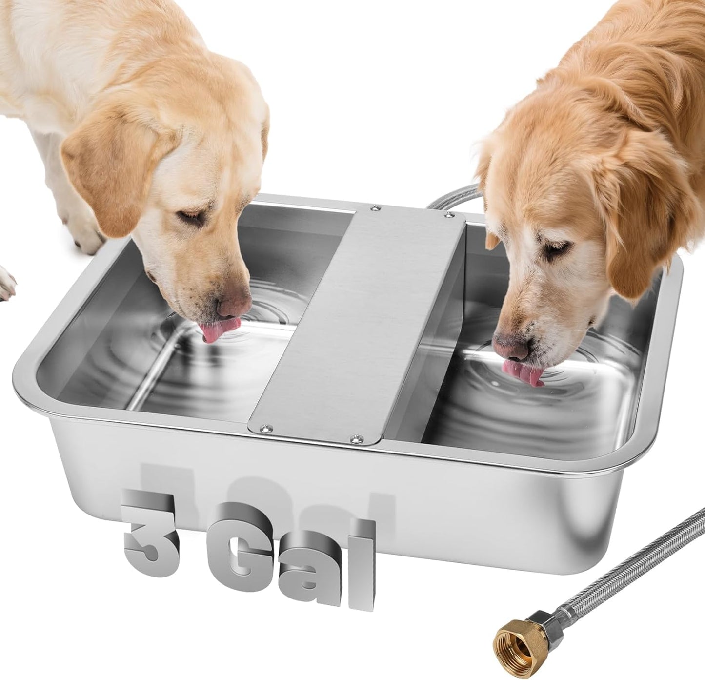 3 Gallon Automatic Dog Water Dispenser for Large Pets